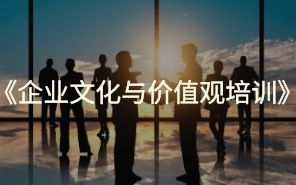 企業文化與價值觀培訓